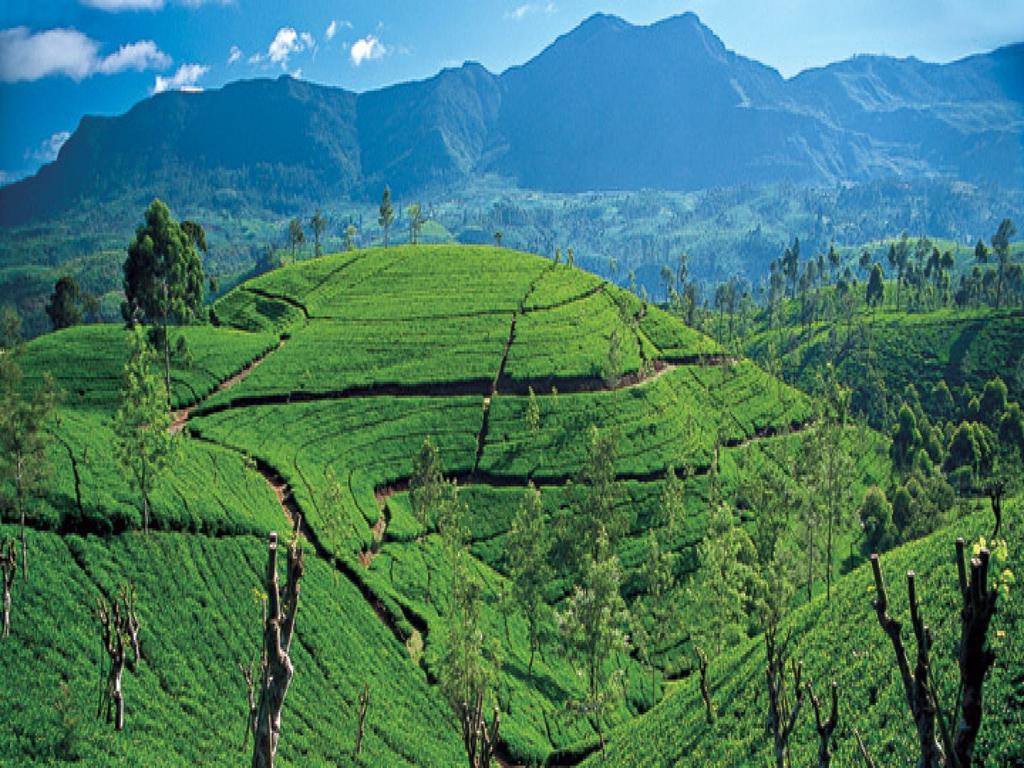 New Tour Inn Nuwara Eliya Luaran gambar